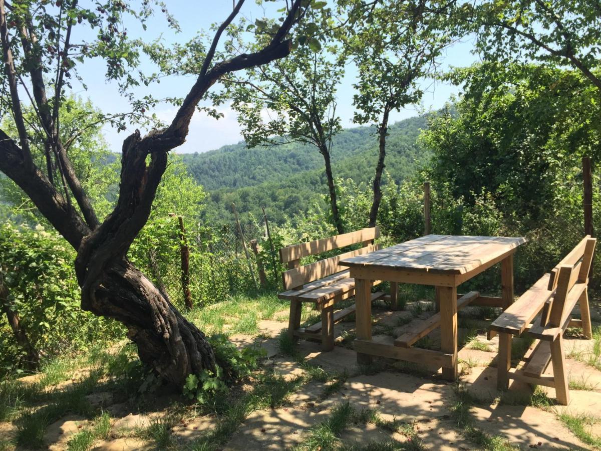 Арт Комплекс Горски Дом - Трявна Bagian luar foto