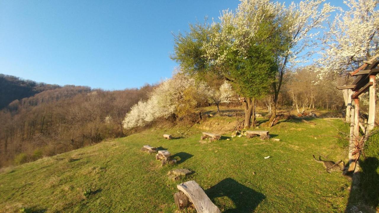 Арт Комплекс Горски Дом - Трявна Bagian luar foto